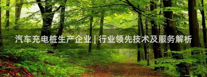 威廉希尔黑钱：汽车充电桩生产企业 | 行业领先技术及服务解析