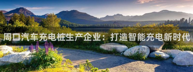 威廉希尔的分析方法 2.25：周口汽车充电桩生产企业：打造智能充电新时代