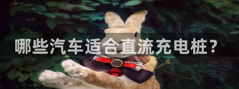 威廉希尔足球官网：哪些汽车适合直流充电桩？