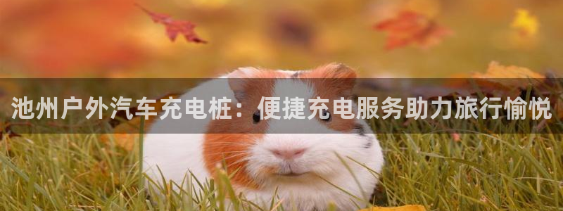 怎么看威廉希尔初盘：池州户外汽车充电桩：便捷充电服务助力旅行愉悦