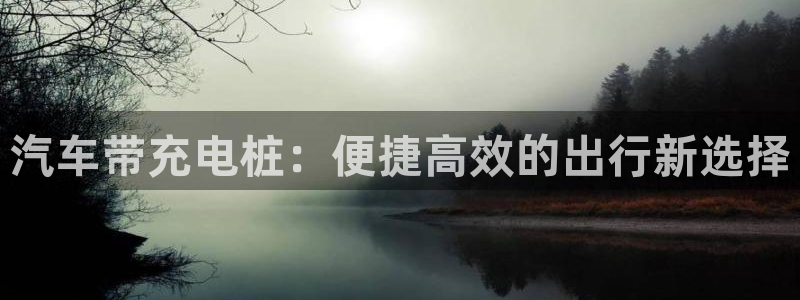 法乙威廉希尔初赔研究：汽车带充电桩：便捷高效的出行新选择