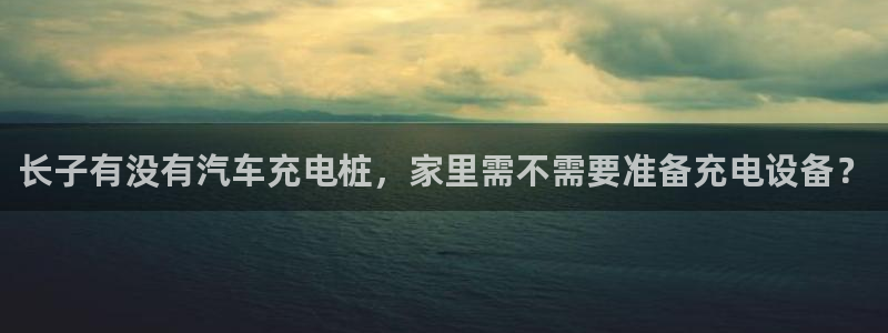 希尔顿威廉姆斯：长子有没有汽车充电桩，家里需不需要准备充电设备？