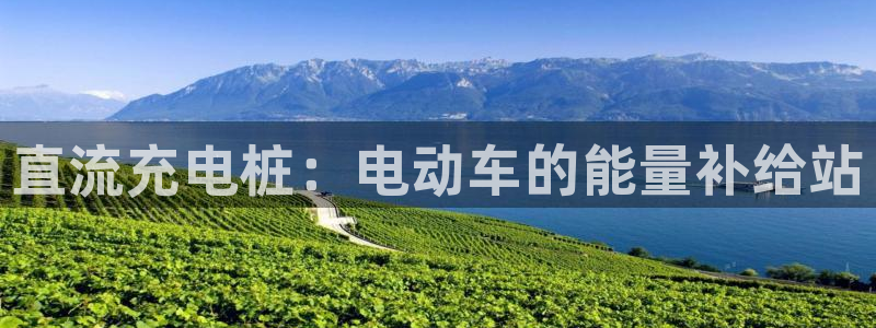 威廉希尔与立博开盘探讨：直流充电桩：电动车的能量补给站