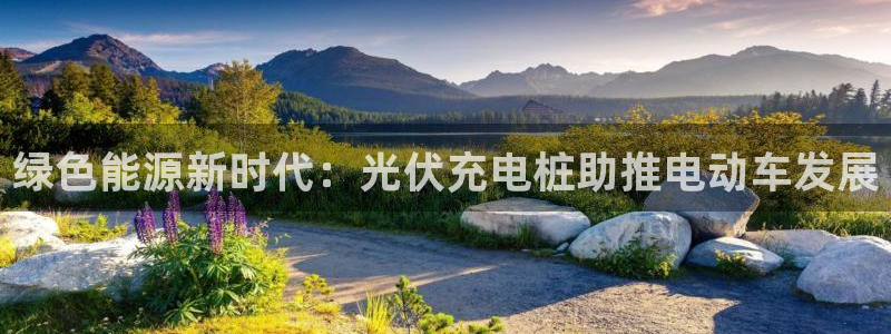 威廉希尔足球分析师是谁：绿色能源新时代：光伏充电桩助推电动车发展