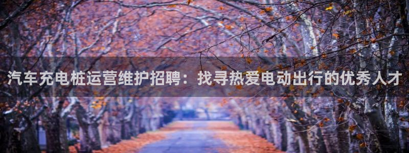 威廉希尔1.33 5 9对应赛果：汽车充电桩运营维护招聘：找寻热爱电动出行的优秀人才