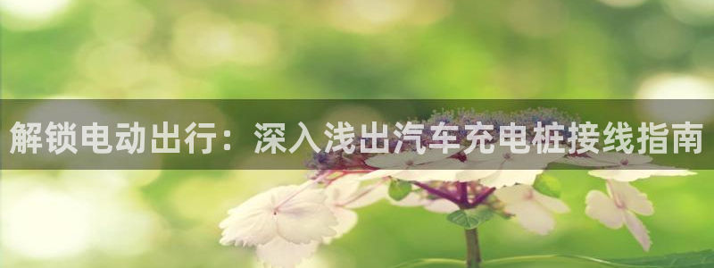 威廉希尔 1.95 3.20 3.50：解锁电动出行：深入浅出汽车充电桩接线指南