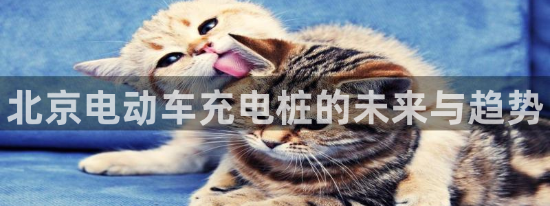 威廉希尔地区：北京电动车充电桩的未来与趋势