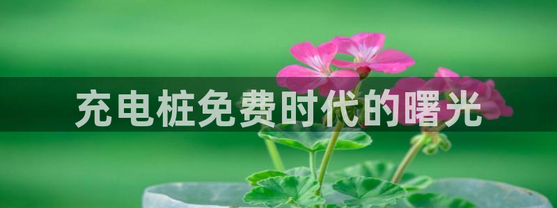威廉指标是哪个：充电桩免费时代的曙光