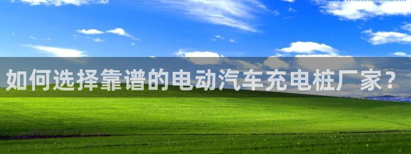 威廉希尔市场数据：如何选择靠谱的电动汽车充电桩厂家？