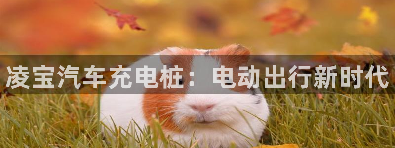 威廉希尔足球网：凌宝汽车充电桩：电动出行新时代