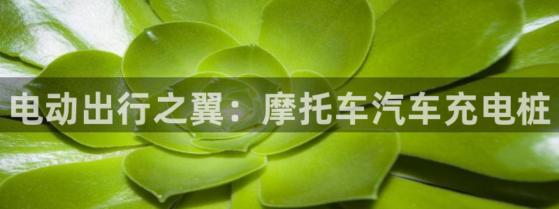 英国威廉希尔公司平台：电动出行之翼：摩托车汽车充电桩