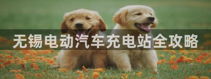 威廉希尔特点：无锡电动汽车充电站全攻略
