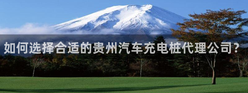 威廉打球：如何选择合适的贵州汽车充电桩代理公司？