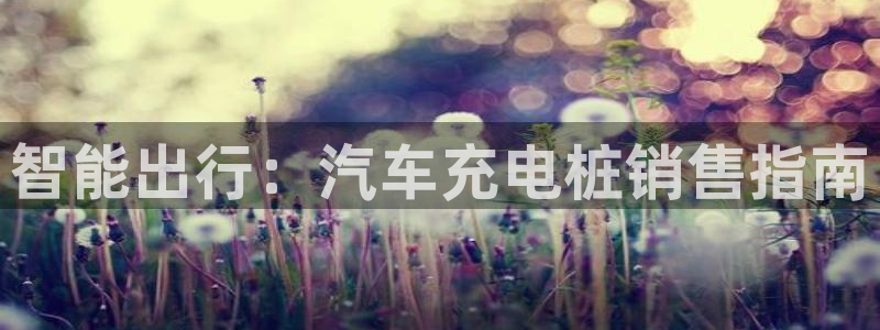 威廉希尔黑钱：智能出行：汽车充电桩销售指南
