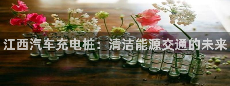 威廉体育官方app下载安装：江西汽车充电桩：清洁能源交通的未来