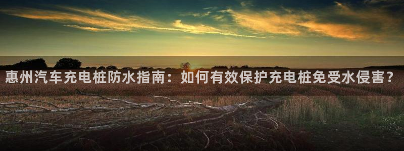 威廉国际公司：惠州汽车充电桩防水指南：如何有效保护充电桩免受水侵害？