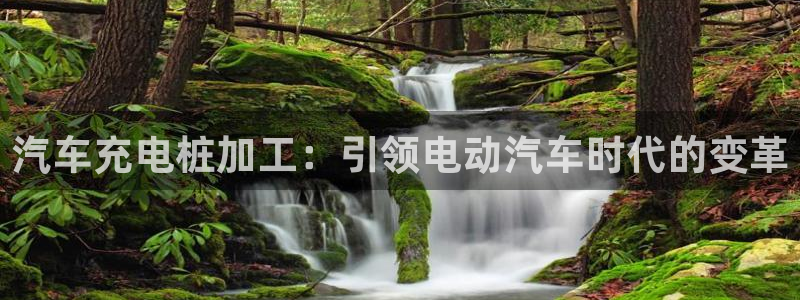 威廉集团：汽车充电桩加工：引领电动汽车时代的变革