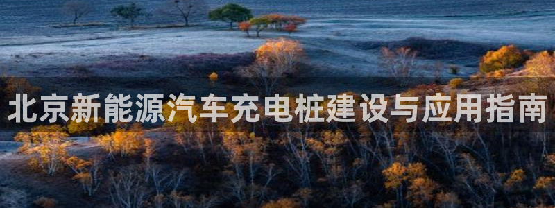 威廉国际是什么app：北京新能源汽车充电桩建设与应用指南