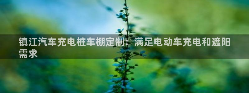 威廉希尔洗碗机：镇江汽车充电桩车棚定制：满足电动车充电和遮阳
需求
