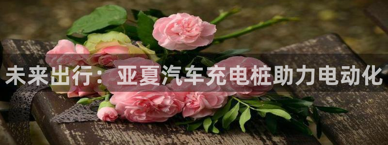 威廉体育官方app下载苹果版：未来出行：亚夏汽车充电桩助力电动化