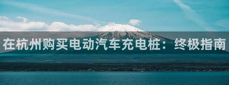威廉希尔开盘大小球为什么都是2.5：在杭州购买电动汽车充电桩：终极指南