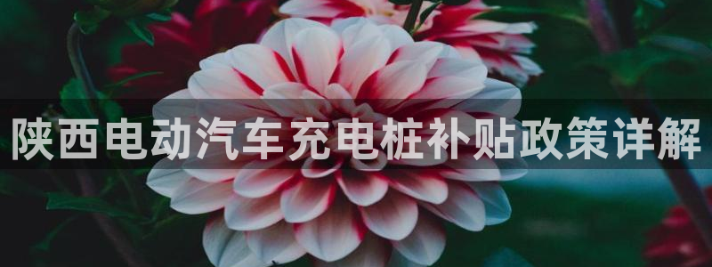 威廉希尔老板：陕西电动汽车充电桩补贴政策详解