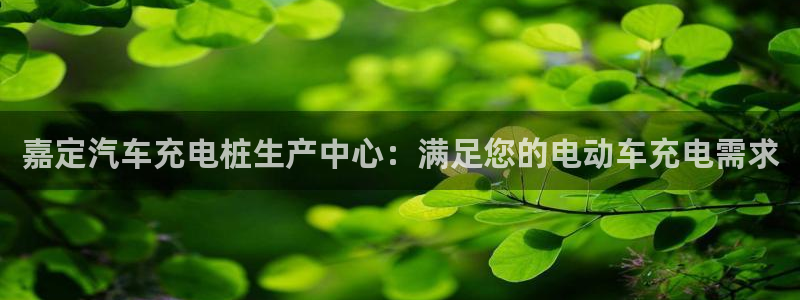 威廉指数100：嘉定汽车充电桩生产中心：满足您的电动车充电需求