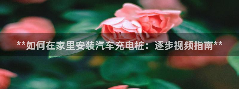 威廉客户端app下载安卓：**如何在家里安装汽车充电桩：逐步视频指南**