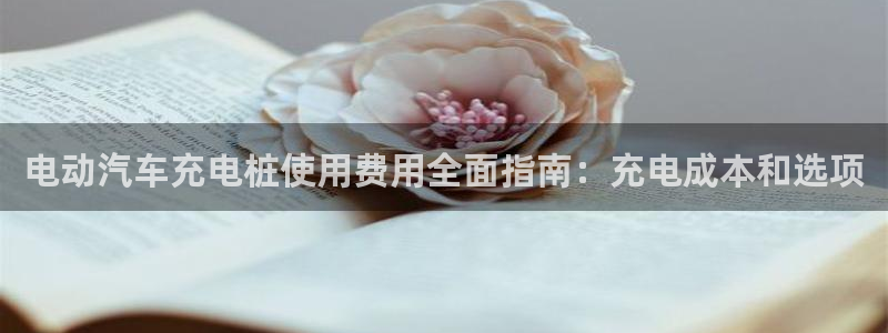 意甲的威廉希尔研究：电动汽车充电桩使用费用全面指南：充电成本和选项