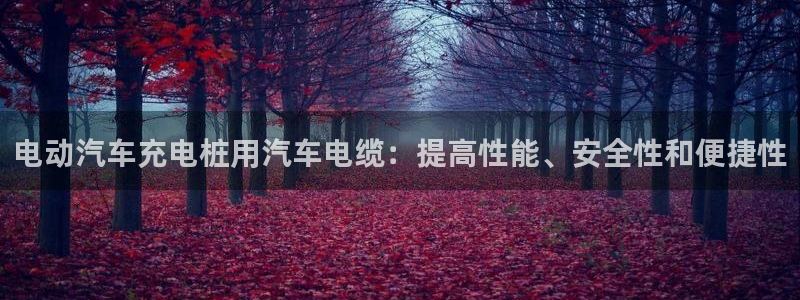 威廉希尔大小球即时指数：电动汽车充电桩用汽车电缆：提高性能、安全性和便捷性