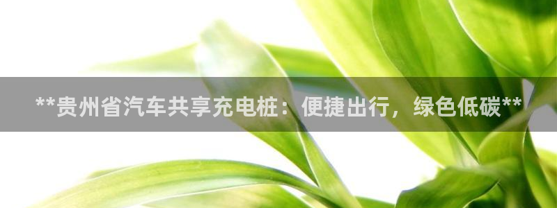 威廉希尔股票：**贵州省汽车共享充电桩：便捷出行，绿色低碳**