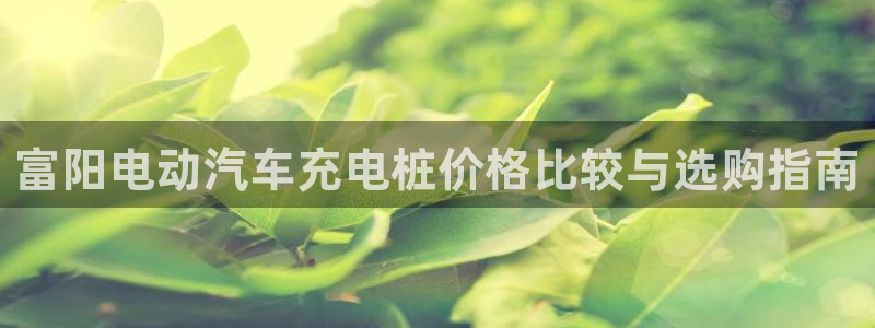 威廉客户端app下载安装：富阳电动汽车充电桩价格比较与选购指南