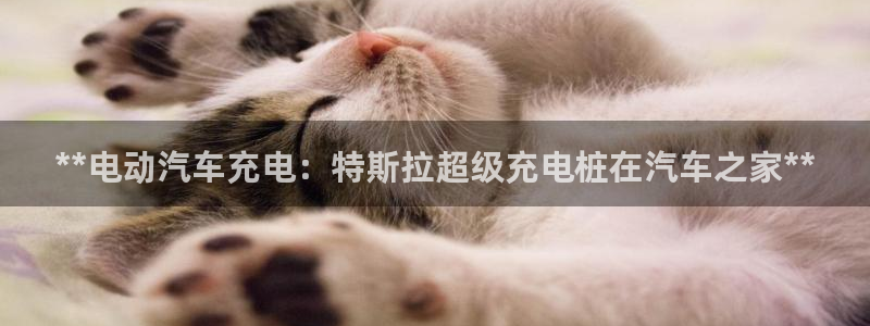 威廉平台链接：**电动汽车充电：特斯拉超级充电桩在汽车之家**