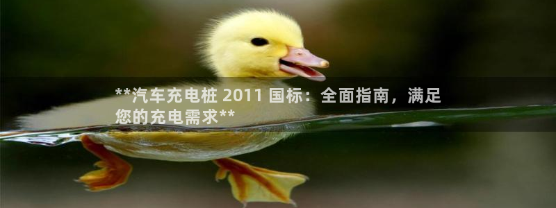 威廉希尔大小球技巧：**汽车充电桩 2011 国标：全面指南，满足
您的充电需求**