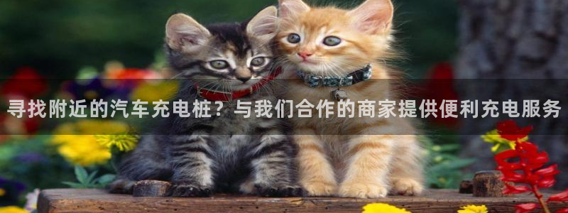 威廉希尔能提现吗：寻找附近的汽车充电桩？与我们合作的商家提供便利充电服务