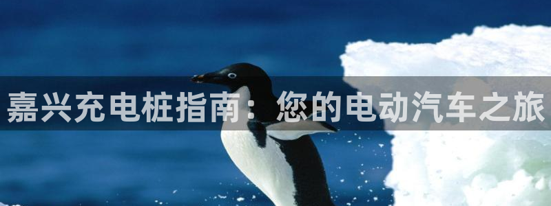 威廉希尔香港俱乐部：嘉兴充电桩指南：您的电动汽车之旅