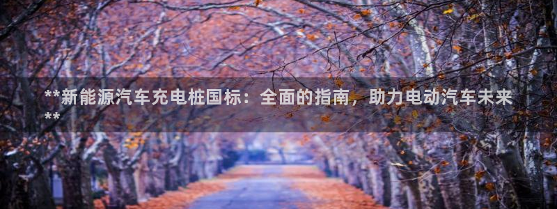 威廉官方旗舰店：**新能源汽车充电桩国标：全面的指南，助力电动汽车未来
**