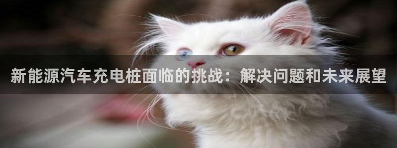 威廉希尔 1.44 4.75 5.00：新能源汽车充电桩面临的挑战：解决问题和未来展望