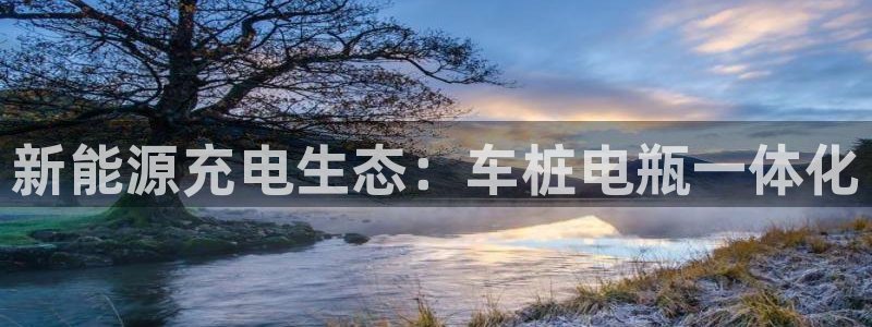 威廉希尔大小球初盘和即时盘：新能源充电生态：车桩电瓶一体化