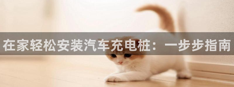 威廉希尔飞行员游戏：在家轻松安装汽车充电桩：一步步指南