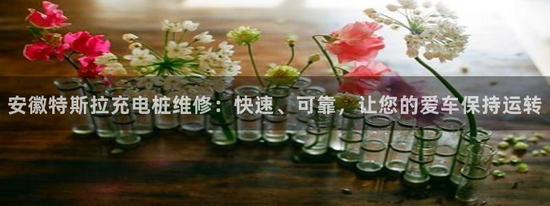 威廉希尔凯利指数特点：安徽特斯拉充电桩维修：快速、可靠，让您的爱车保持运转