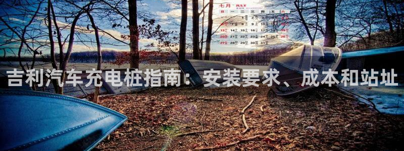 威廉希尔出款：吉利汽车充电桩指南：安装要求、成本和站址