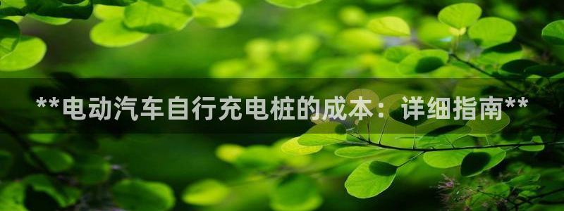 威廉希尔亚盘看盘技巧：**电动汽车自行充电桩的成本：详细指南**