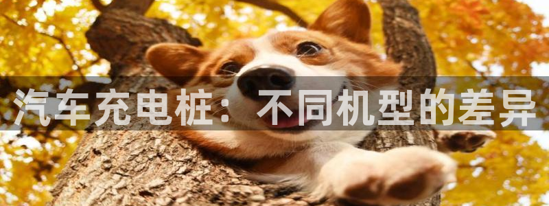 威廉和澳门区别解析：汽车充电桩：不同机型的差异