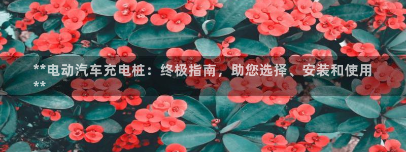 威廉集团：**电动汽车充电桩：终极指南，助您选择、安装和使用
**