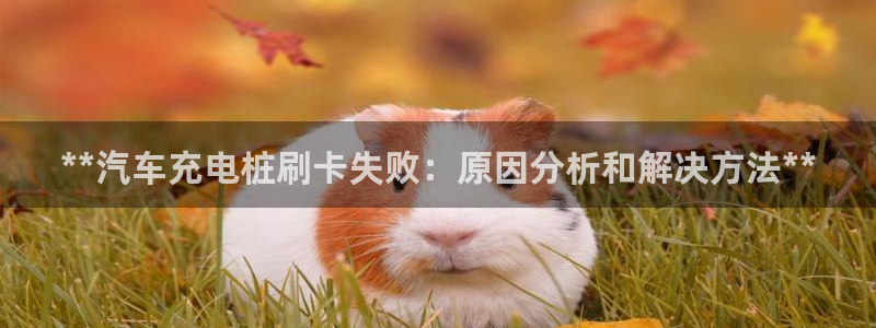 威廉希尔网站取不了钱：**汽车充电桩刷卡失败：原因分析和解决方法**