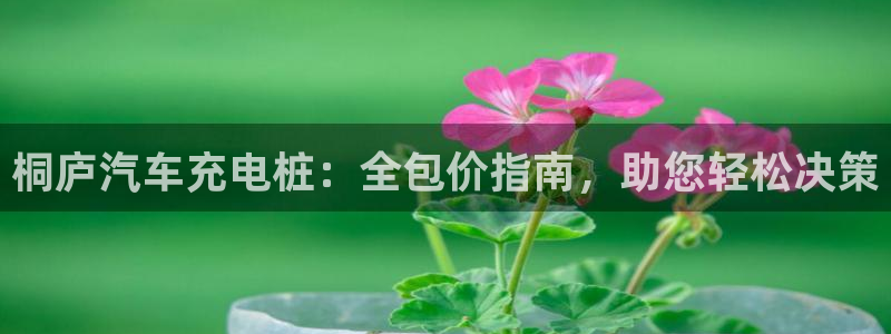威廉希尔 1.80 4.00 3.40：桐庐汽车充电桩：全包价指南，助您轻松决策