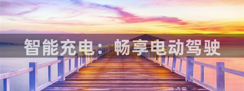 威廉希尔香港公司：智能充电：畅享电动驾驶