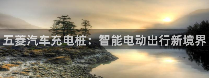 威廉国际不能提现：五菱汽车充电桩：智能电动出行新境界