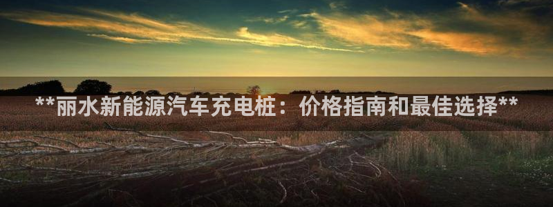 威廉国际平台介绍：**丽水新能源汽车充电桩：价格指南和最佳选择**